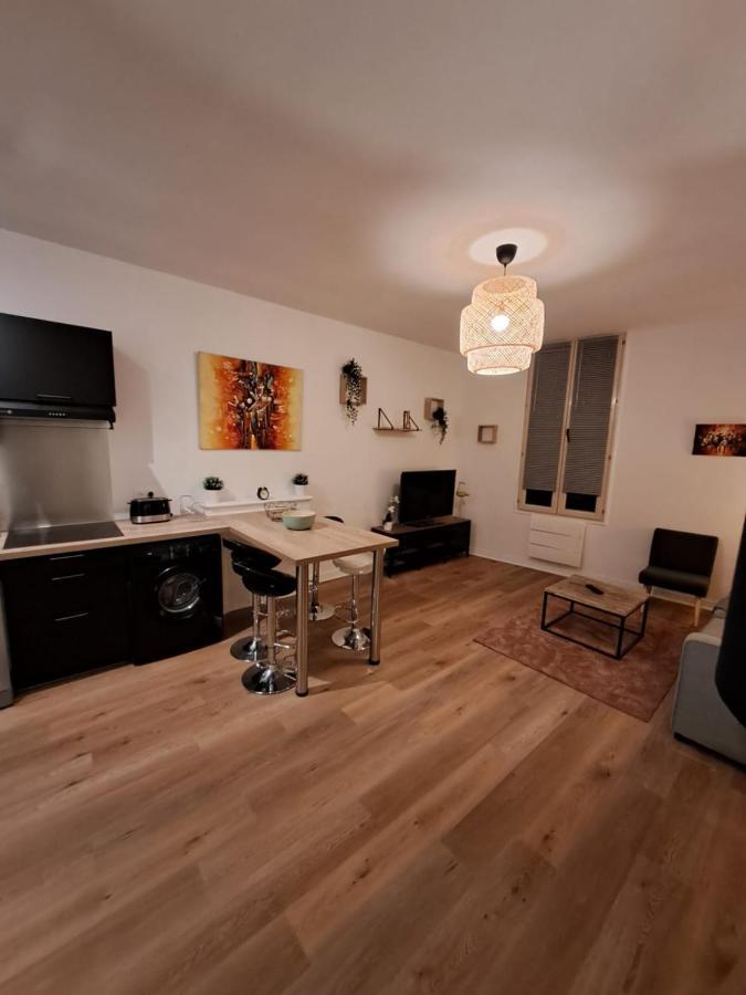 Le Saint Jean , Centre Historique, Wifi, Tout Equipe, Ideal Famille, Business, Ou Simple Escapade Niort Eksteriør bilde