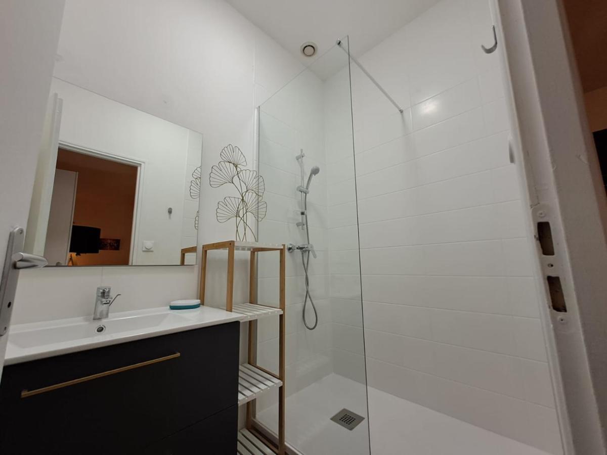 Le Saint Jean , Centre Historique, Wifi, Tout Equipe, Ideal Famille, Business, Ou Simple Escapade Niort Eksteriør bilde
